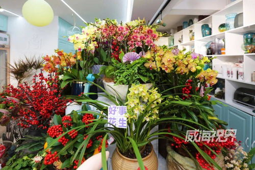 威海 花卉市場(chǎng) 寶藏指南