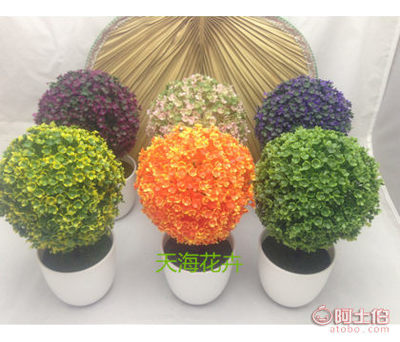 【天?；ɑ芊抡鏅蜒┣蚺柙耘杈靶?shù)窗臺(tái)擱板擺件道具真樹(shù)花球草球】濟(jì)南市天橋區(qū)天?；ɑ苌绦?- 產(chǎn)品庫(kù)