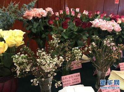 新華網:第十九屆中國昆明國際花卉展13日開幕各式花卉讓人眼“花”繚亂