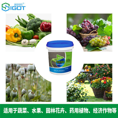 根系特壯液體水溶肥 果樹膨果肥 甜瓜葉面肥廠家圖片_高清圖_細節圖-賽固特