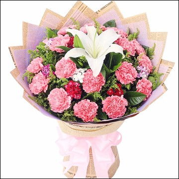 圖 美麗心愿 教師節(jié)19枝粉色康乃馨精品花束預訂 成都鮮花綠植