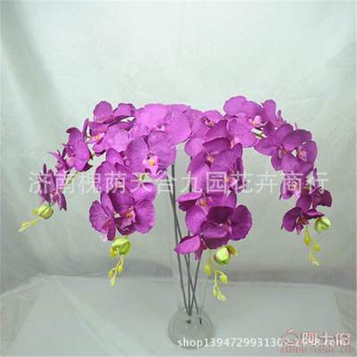 【蝴蝶蘭真花裝飾花假花絹花批發(fā)仿真植物特價(jià)熱銷】濟(jì)南槐蔭天合九園花卉商行 - 產(chǎn)品庫(kù)