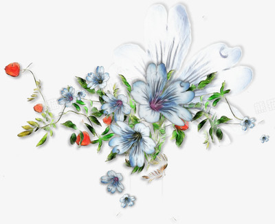 鮮花花卉花卉素材